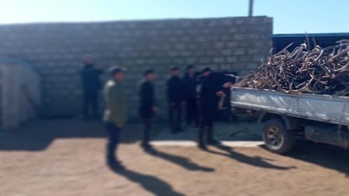 Хашаандаа бугын 269 ширхэг эвэр хадгалж байсан этгээдийг илрүүлжээ